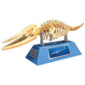 Blue Whale Skeleton 3D Construction Postcard